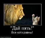 Фотография Шевченко Ксении