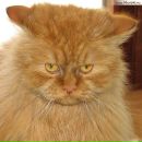 Фотография Лаптевой Наталии