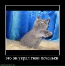 Фотография Русинова Тёмы