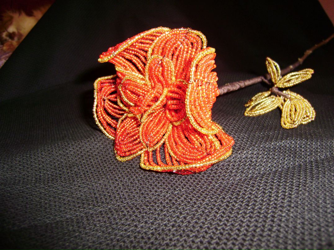 Наталия Левит фотография #47