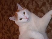 Фотография Потылицын Денис