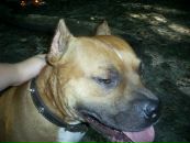 Джек Ценкін фотография #30 (источник - https://vk.com/id100363511)