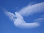 Фотография Русак Янчик