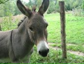 Фотография Hefter Nadia