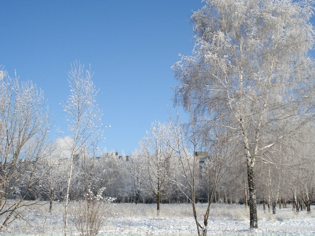 Дмитрий Лаёв фотография #39