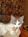 Принцесса Китана фотография #31 (источник - https://vk.com/id1019119)