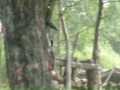 Фотография Окулова Андрея