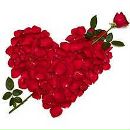 Заріна Козачук-Комарницька фотография #26 (источник - https://vk.com/id73601208)