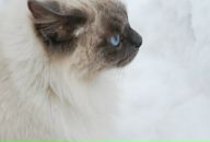 Фотография Москвитиной Ольги