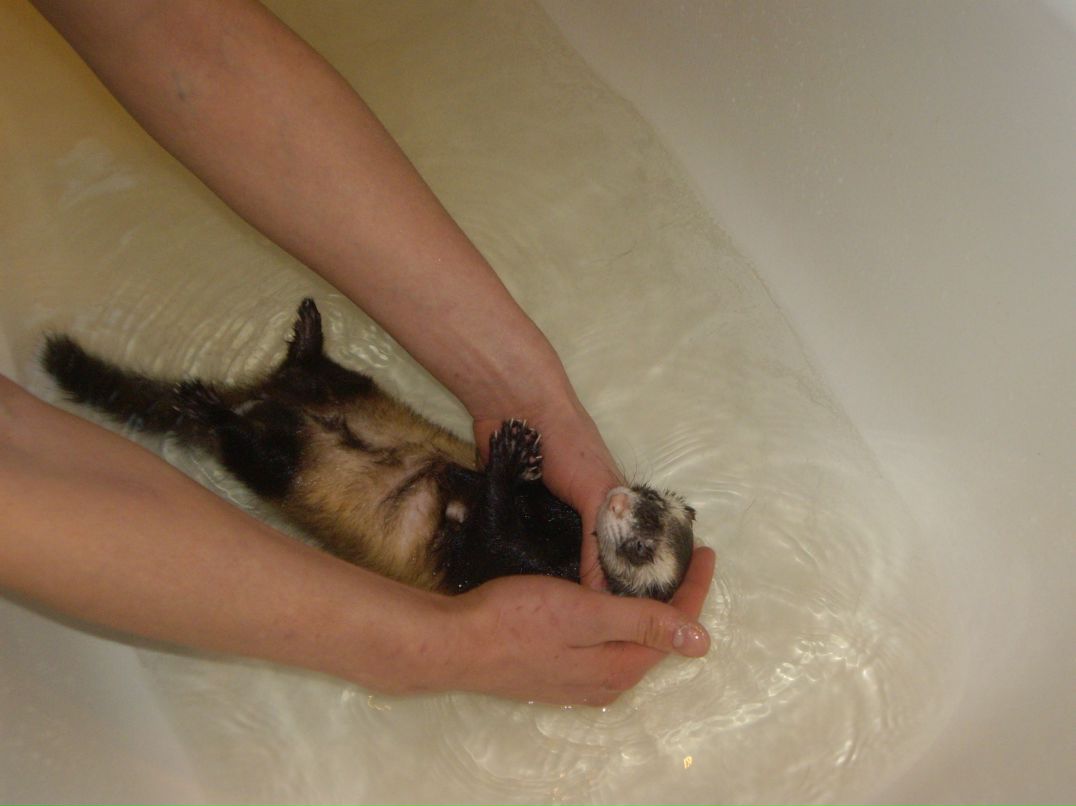 Дима Сергеевич фотография #26