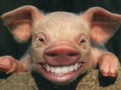 Nazar Андрушків фотография #37 (источник - https://vk.com/id33992617)