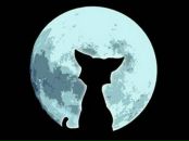 Фотография Утробиной Елены