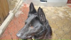 Лєнчік Гаврилюк фотография #34 (источник - https://vk.com/id33693518)