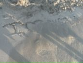 Фотография Рядинской Елены