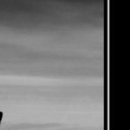 Дмитрий Щербаков фотография #23 (источник - https://vk.com/id39001049)