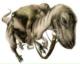 Фотография Абдулина Ильи