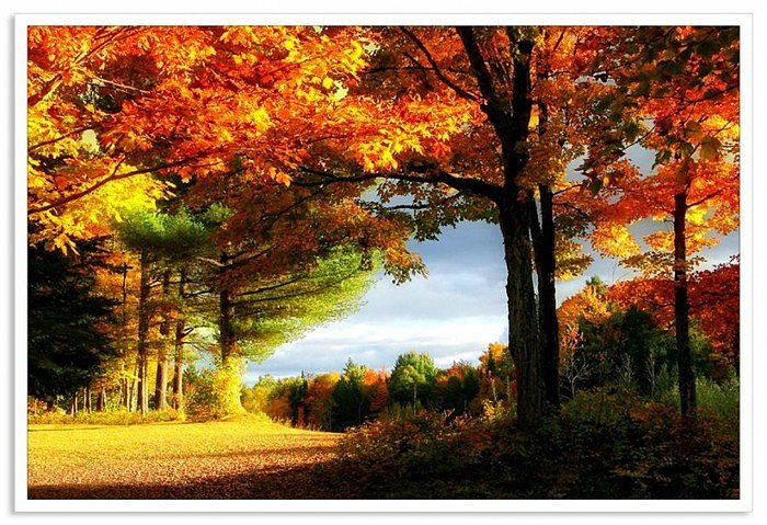 Andrei Knel фотография #20