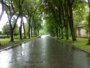 Андрій Явір фотография #30 (источник - https://vk.com/id27553360)
