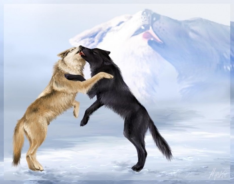 Raquel J фотография #36