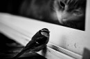 Наталія Верцюх фотография #29 (источник - https://vk.com/id12921603)