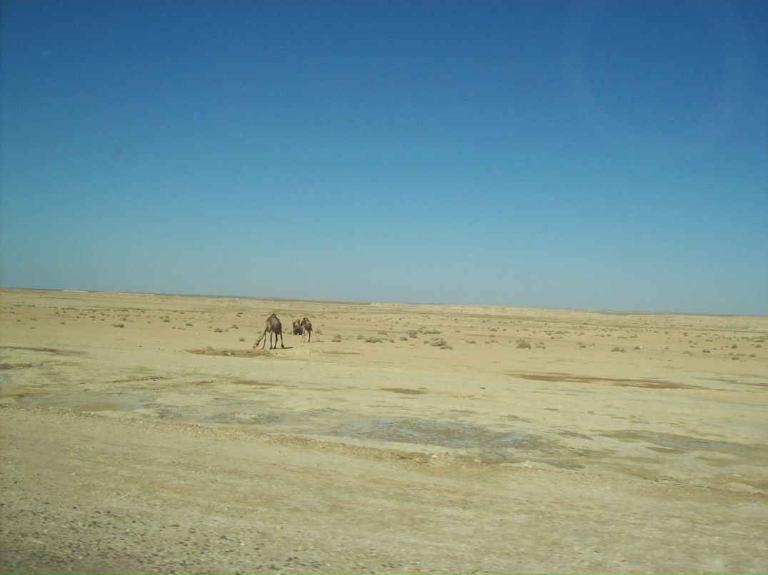 Галина Майборода фотография #36