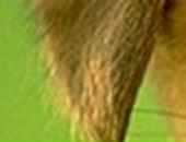 Аліна Третякович фотография #27 (источник - https://vk.com/id36342602)