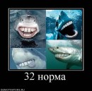 Дмитрий Копейкин фотография #50 (источник - https://vk.com/id318059)