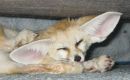 Коханий ♥♥♥♥♥ фотография #13 (источник - https://vk.com/id96742588)