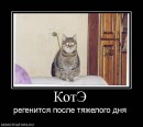 N[i]ki Baby фотография #34 (источник - https://vk.com/id66662499)