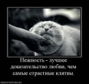 Фотография Пашина Стаса