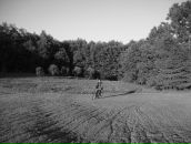 Фотография Кудрявцева Алексея