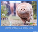 Андрюха Склярук фотография #30 (источник - https://vk.com/id11705905)