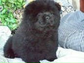 Надя Петріянчук фотография #34 (источник - https://vk.com/id71486847)