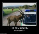 Міша Вишкварка фотография #38 (источник - https://vk.com/id72684444)