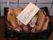 Стас Волков фотография #1