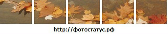 Вадім Яцюченко фотография #28 (источник - https://vk.com/id30233788)