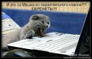 Аня Хільчук фотография #37 (источник - https://vk.com/id65505777)