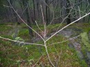 Юрій Попович фотография #46 (источник - https://vk.com/id55820258)