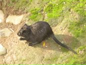 Илья Козлов фотография #42 (источник - https://vk.com/id1753466)