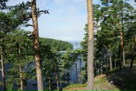 Сергей Д фотография #45 (источник - https://vk.com/id1361995)