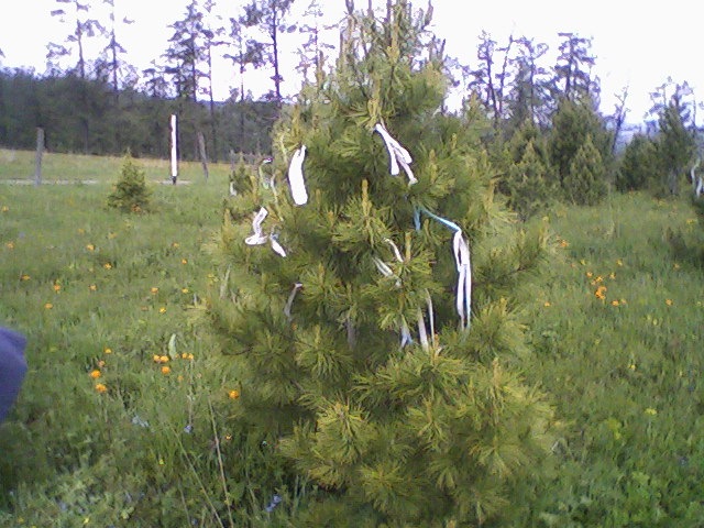 Судур Тоедов фотография #21