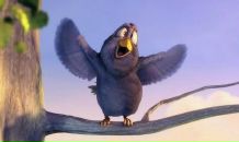 Марьяна Скворцова фотография #2 (источник - https://vk.com/id1885204)