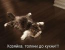 Фотография Яснюка Александра