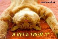 Фотография Зыкова Станислава