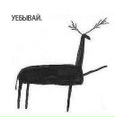 Фаджір Мазамбєковічь фотография #14 (источник - https://vk.com/id100937766)