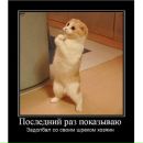 Ярослав Єрін фотография #40 (источник - https://vk.com/id154445298)