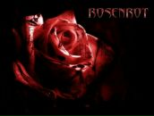 Фотография Вдовиной Ксении