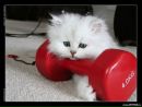 Фотография Коноваловой Марии