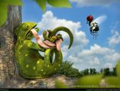 Фотография  