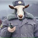 Гена Зарубін фотография #25 (источник - https://vk.com/id68484676)